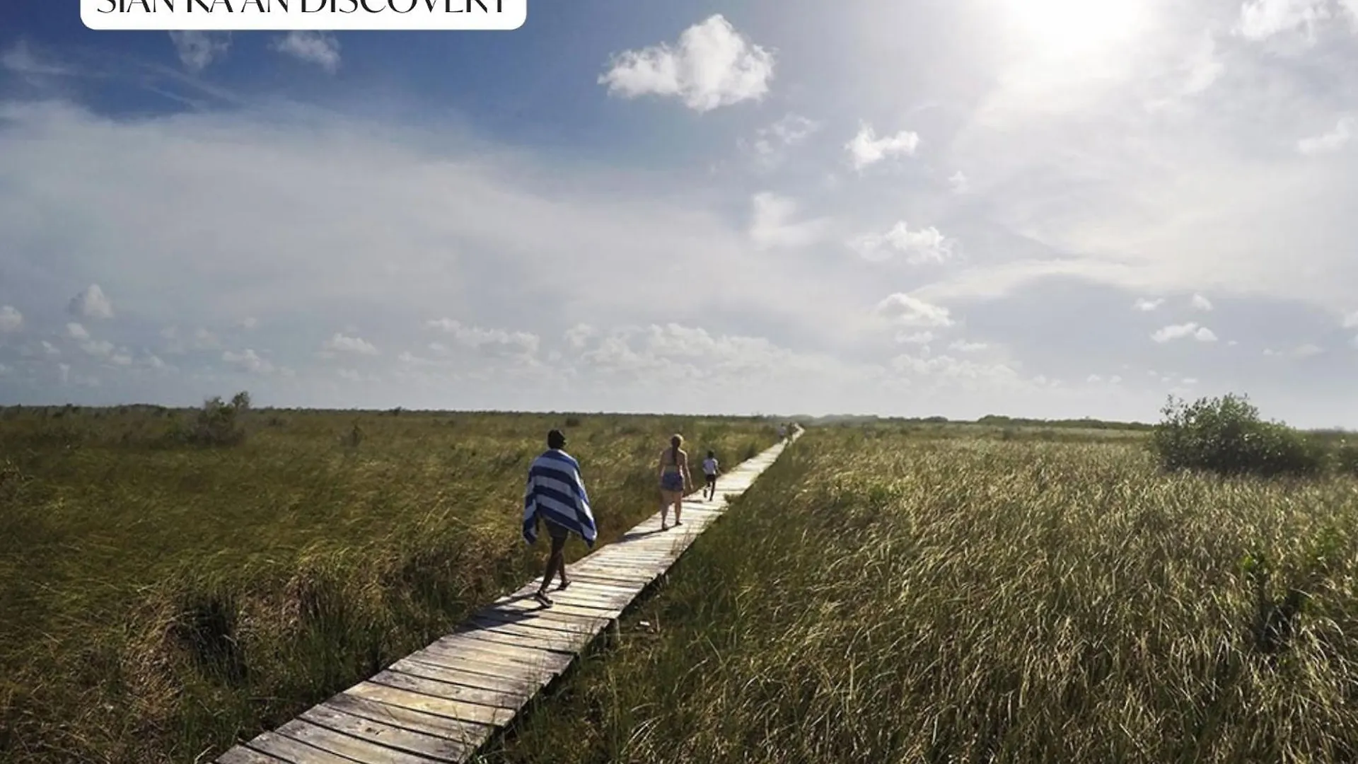 Appartement 2Br 2Ba Luxury Penthouse With Private Pool And Rooftop Terrace Tulum Pueblo