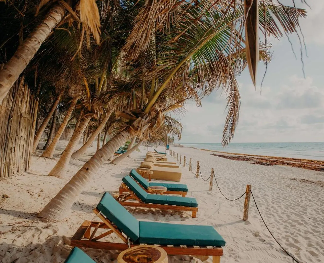 Appartement 2Br 2Ba Luxury Penthouse With Private Pool And Rooftop Terrace Tulum Pueblo Mexico