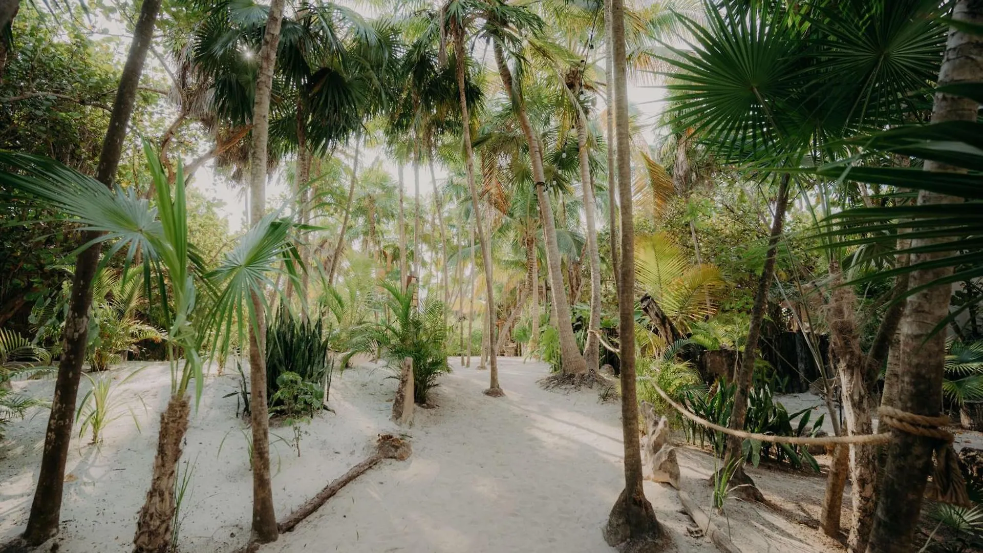 2Br 2Ba Luxury Penthouse With Private Pool And Rooftop Terrace Tulum Pueblo Mexico